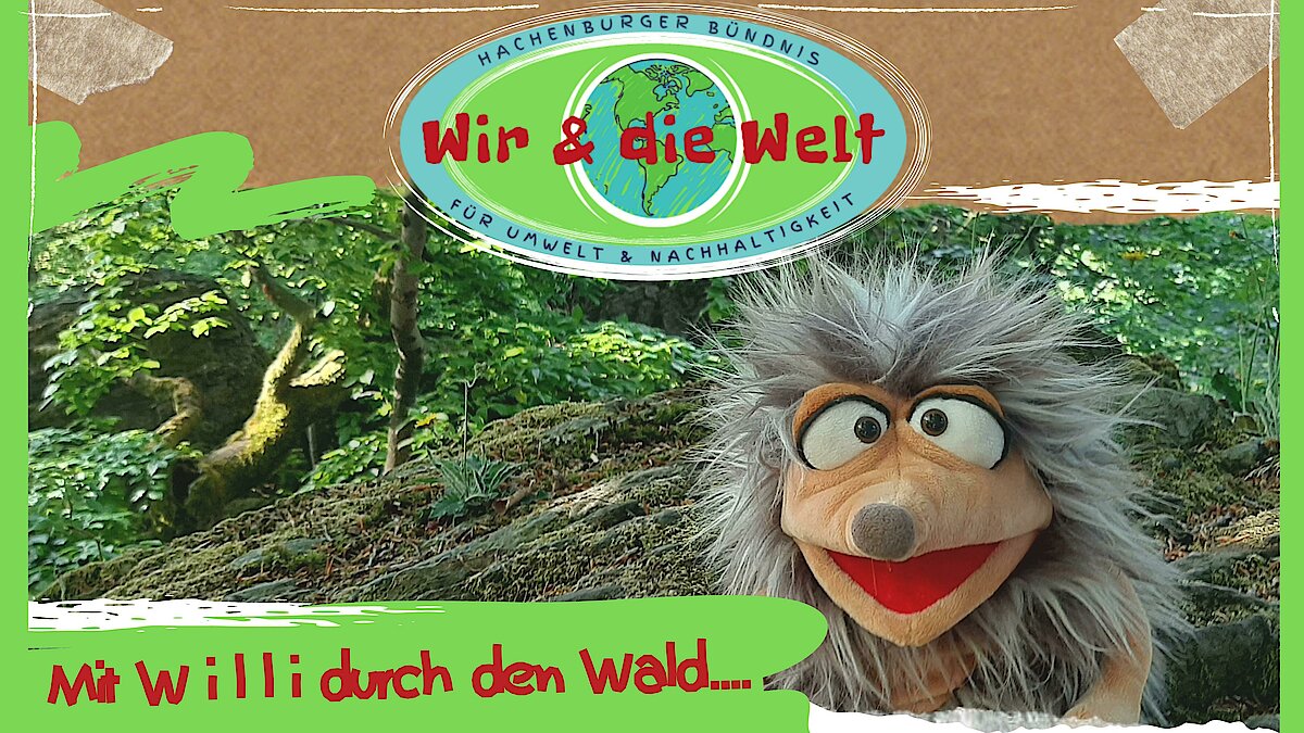 Willis Wald-Weg