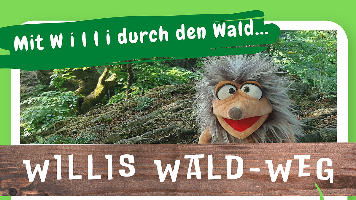 Willis WALD-WEG