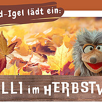 Mit Willi im Herbstwald