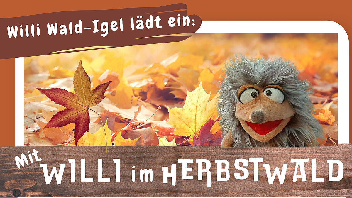 Mit Willi im Herbstwald